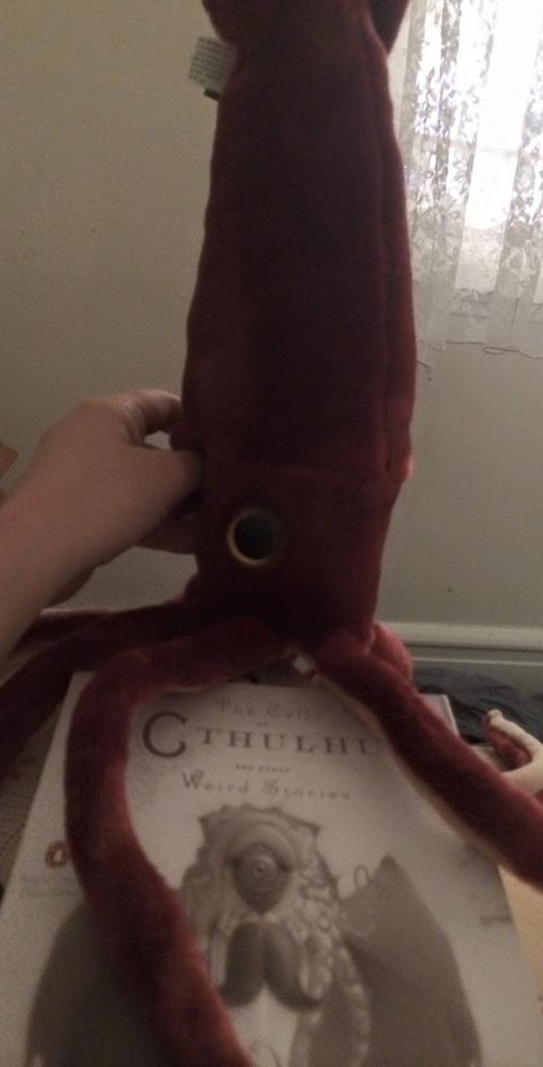 Christmas presents should always include reading material and pet squid. This is Beatrice.